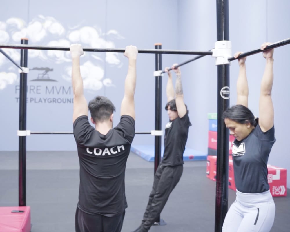 bodyweight training | Gymnastics Workshops